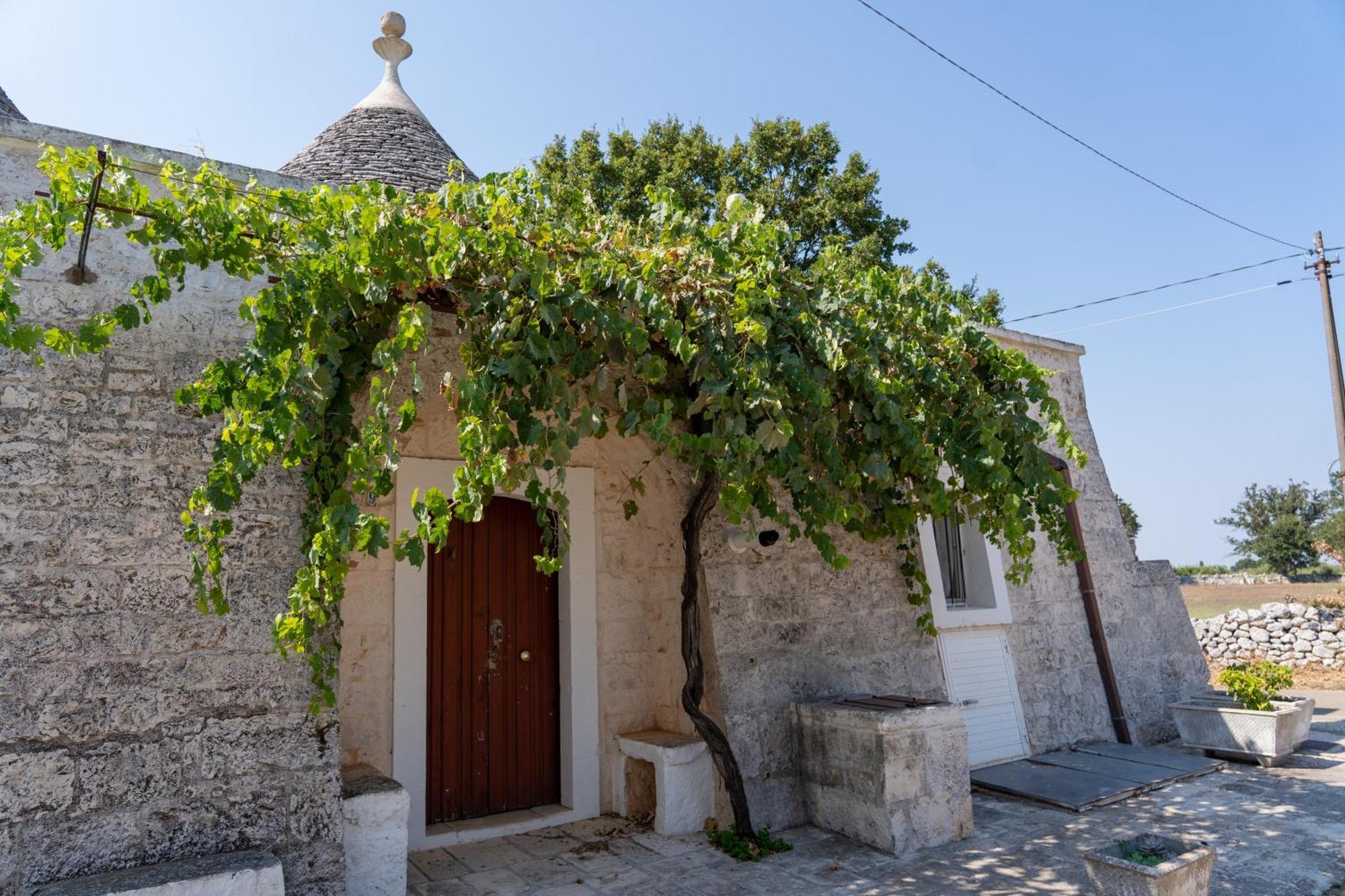 Trullo Vacanze Di Cumma Rosa Alberobello Eksteriør billede